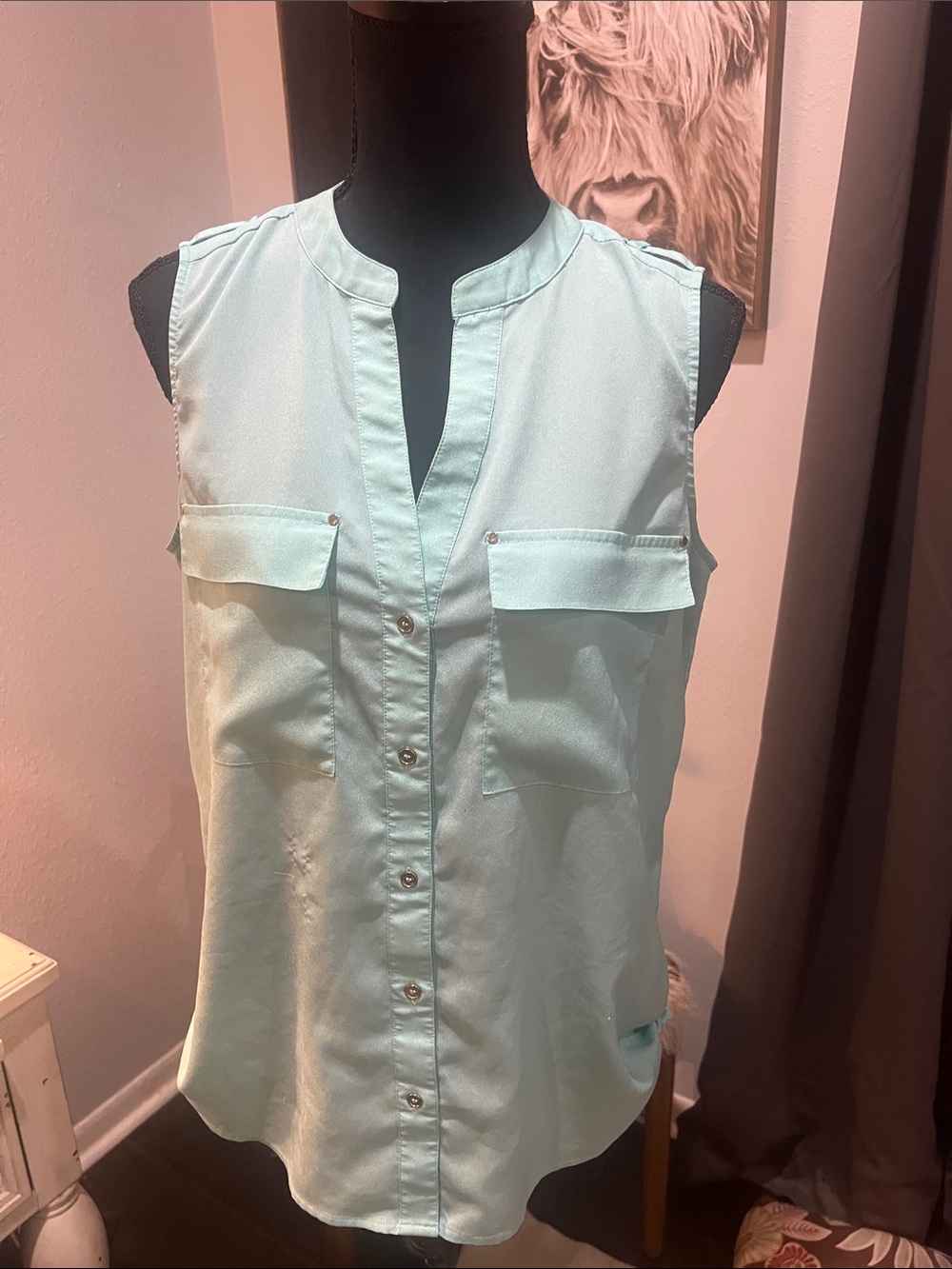 Sleeveless Button-Front Blouse in Mint